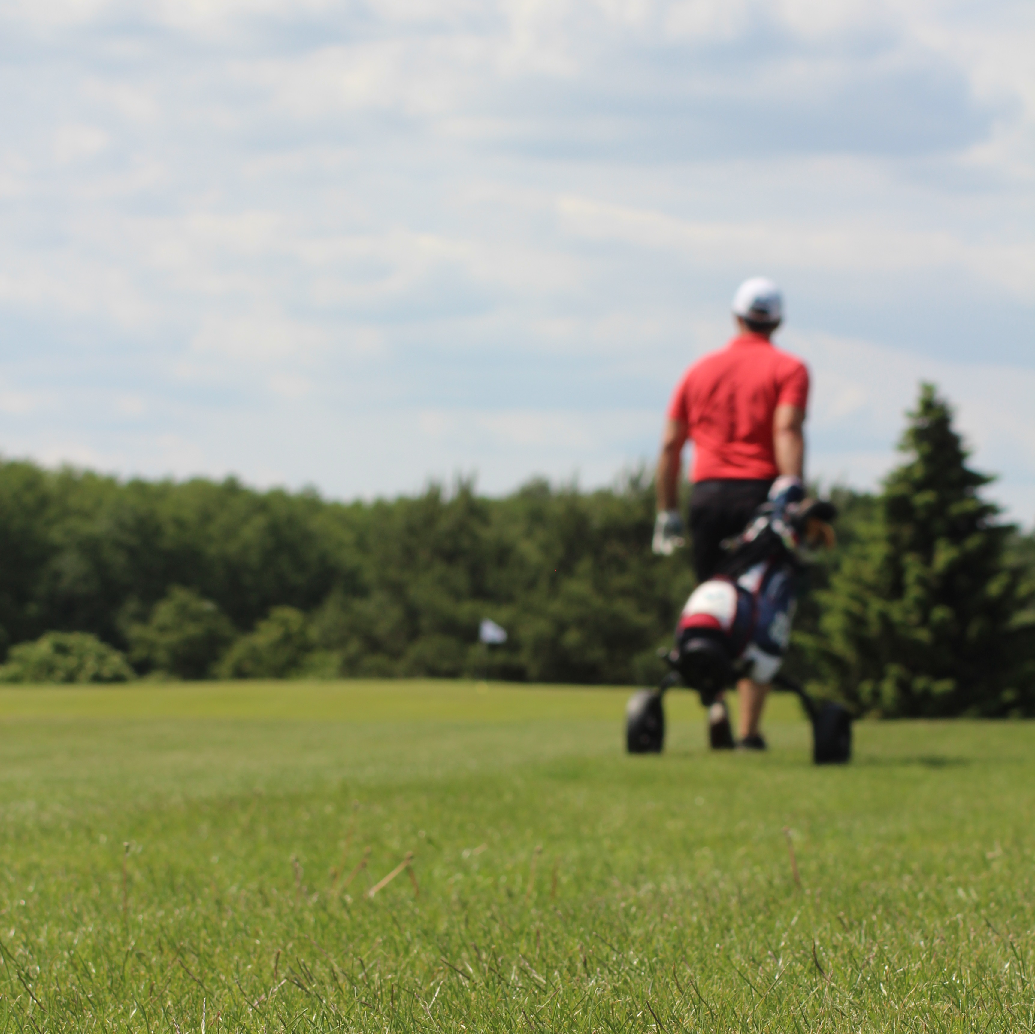 Golf-Kurs bis zur Erteilung der Platzreife (PE)