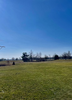 Aktueller Spielbetrieb